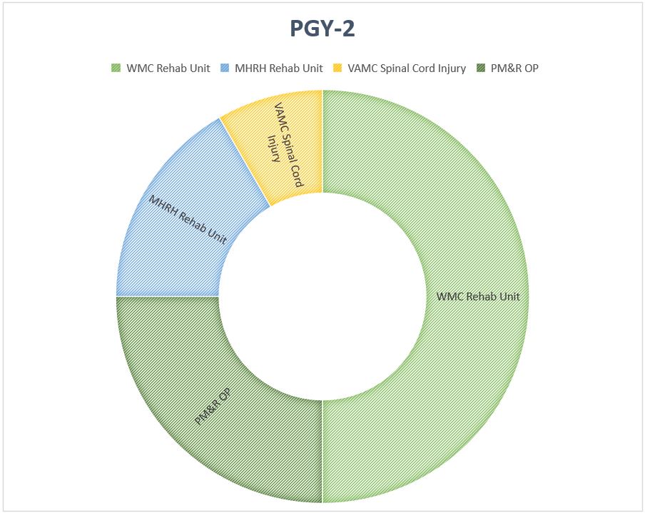 PGY-2 breakdown